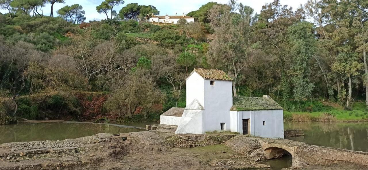 Apartmán La Casa Del Cura 1935 Alcalá de Guadaira Exteriér fotografie